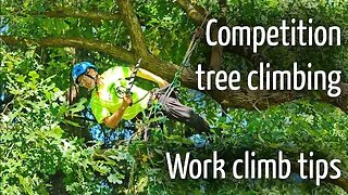 Competition tree climbing tips : Work Climb