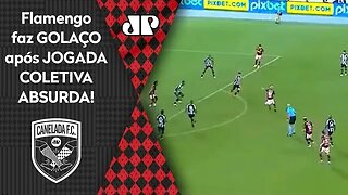 QUE SHOW! Flamengo IMPRESSIONA com GOLAÇO em JOGADA COLETIVA ABSURDA contra o Botafogo!