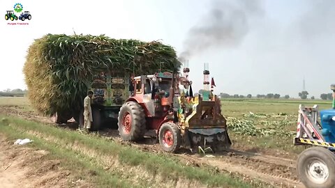 Fully Loaded Trailer Stuck In Field Belarus and Ford Trying To Pulling Out