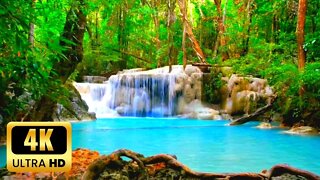 Relaxing Zen Music & Water Sounds • Study Music, Meditation Music, Relaxing Music