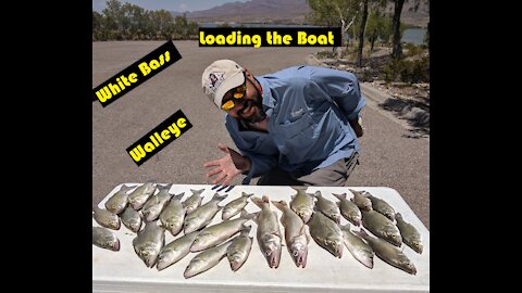 Fishing for White Bass and Walleye at Caballo Lake in NM- Spoonplugging