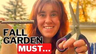 How & When To Remove Plants For The Garden In Fall!