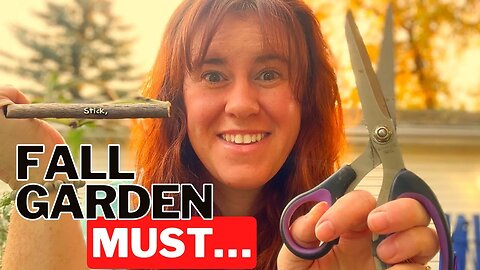 How & When To Remove Plants For The Garden In Fall!