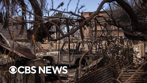 Families search for loved ones in Maui wildfires