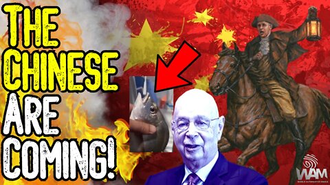THE CHINESE ARE COMING! - California Follows China In SWABBING ANIMALS FOR COVID! - Clown World
