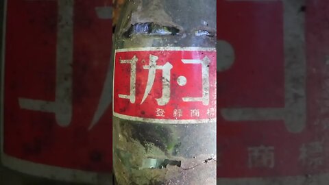 Vintage Japanese Coke Bottle Found in the Forest