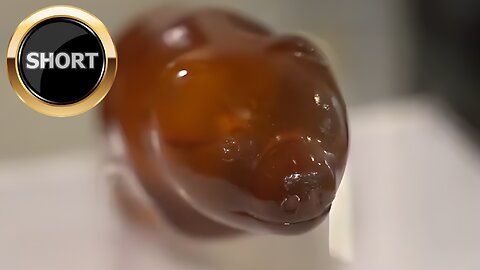 Adorable Stone Age artifact | The Amber Bear of Slupsk