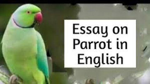 Essay 0n Parrot in English /10 lines Essay on the Parrot by Snehankur Deshing
