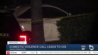 Domestic violence call leads to officer-involved shooting