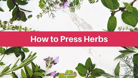 Pressing and Drying herbs