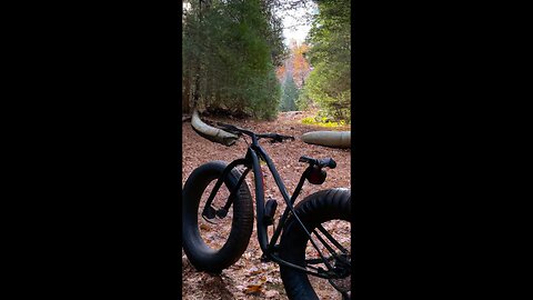 Fall Ride on my Fatbike at Valley Spur in Munising ( Fatback Rhino )