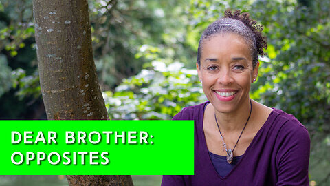 Dear Brother:Opposites | IN YOUR ELEMENT TV