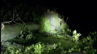 People across metro Detroit cleaning up after severe storms Wednesday