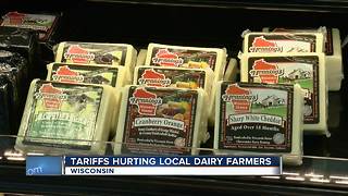 Tariffs hurting local dairy farmers