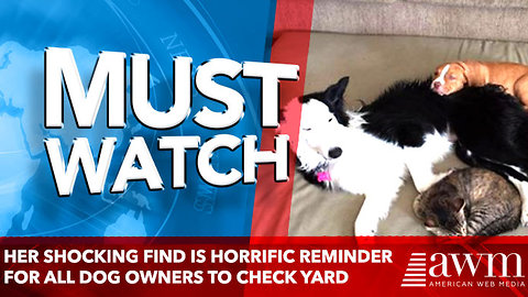 Her Shocking Find Is Horrific Reminder for All Dog Owners to Check Yard