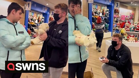 Adorable moment man proposes to partner with teddy bear which asks ‘will you marry me?'