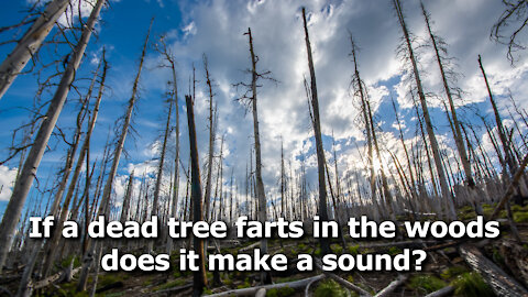 At First The Left Came For the Cow Farts, Now They’re Coming for the Dead Tree Farts (Not a Joke.)