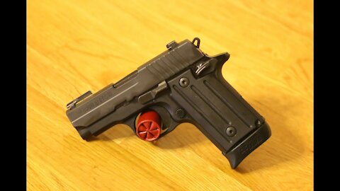 Sig P238 Field Strip