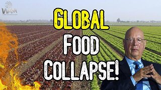 GLOBAL FOOD COLLAPSE! - Shortages Lead To Rations As Globalists Attack Farmers!