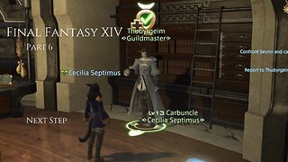 Final Fantasy XIV Part 6 - Next Step