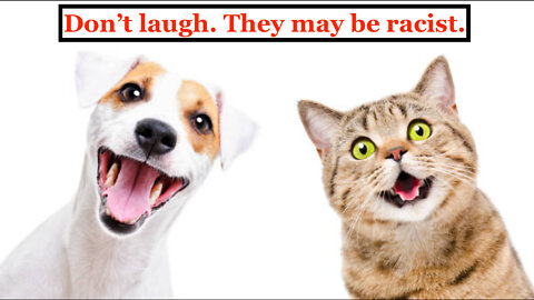 The CG Prophecy Report (24 July 2022) - Fido and Fifi Are Racist