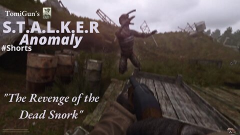 The Revenge of the Dead Snork (S.T.A.L.K.E.R Anomaly) #Shorts