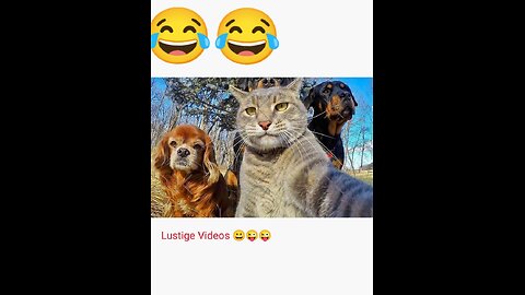 Lustige Videos 😀😜