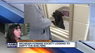 Michigan Humane Society looking to empty the shelters
