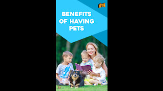Top 4 Benefits Of Having A Pet *