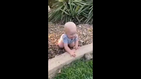 Baby playing with frog