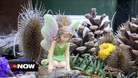Fairy Festival returns to the Botanical Gardens