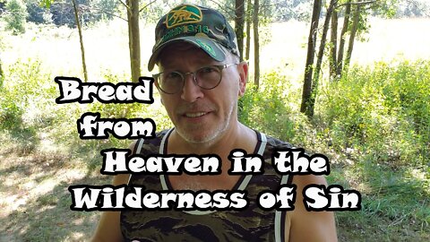 Bread from Heaven in the Wilderness of Sin: Exodus 16