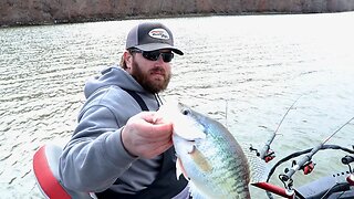 What do Crappie eat in Cold, Dirty Water (COLOR CHALLENGE) | Crappie Fishing Lake of the Ozarks