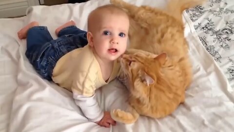 Did you know how cats accept babies?