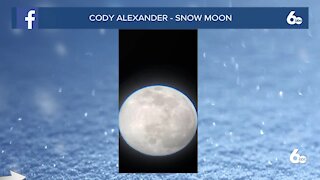 Cody Alexander - Snow Moon