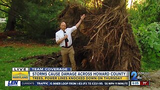Tornado tears of trees in Columbia