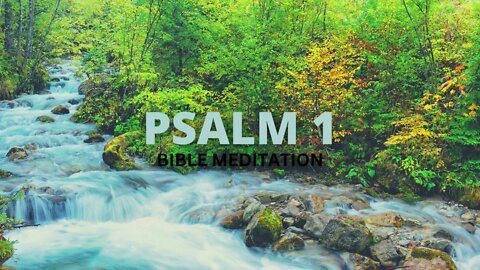 PSALM 1 BIBLE MEDITATION