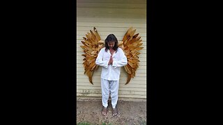 DANNY MASSEY: ANGEL WINGS