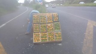 SOUTH AFRICA - Durban - Mango sellers on the freeway (Videos) (rvD)