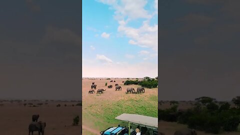 Tanzania 🇹🇿 , Serengeti National Park