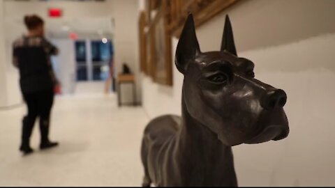 Fot the love of all things dog! The Museum of the Dog returns to New York City