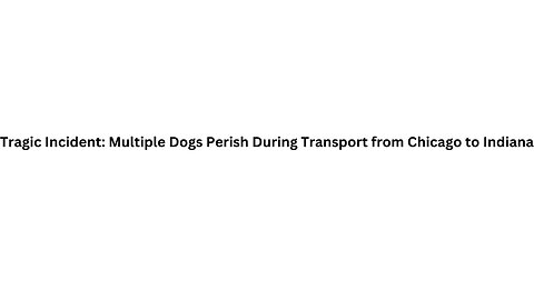 Tragic Incident Multiple Dogs Perish During Transport from Chicago to Indiana