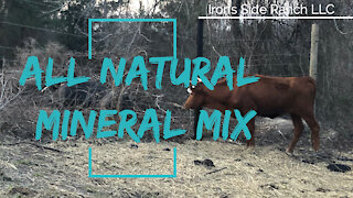 All Natural Mineral Feed For Cows: How We Mix Our Own Minerals