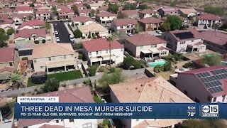 Three people dead in apparent murder-suicide, police say; 12-year-old escapes home