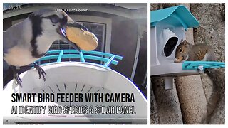 UHAOO Smart Bird Feeder with Camera With AI Bird Detection, Unboxing, Installation And Full Review