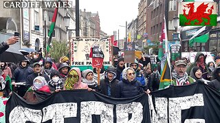 ☮️March Pro-PS Protesters High Street Cardiff South Wales☮️