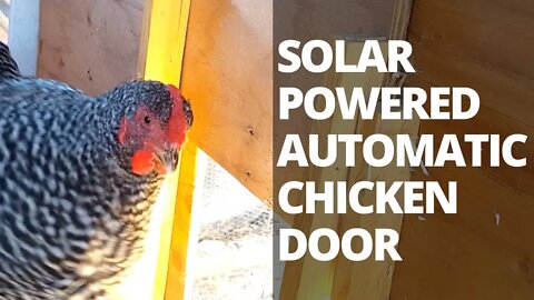 Automatic Chicken Coop Door | Adjusting Solar Panel