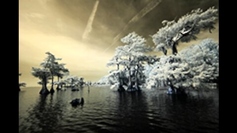 Infrared Photography with Bob Barbour on Sebastian River, Florida