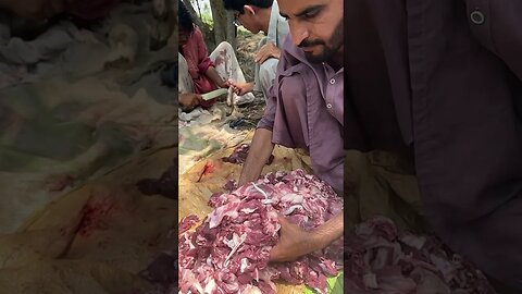 Mutton 🐐 Cutting and Mixing #mutton #foodies mixing #goat