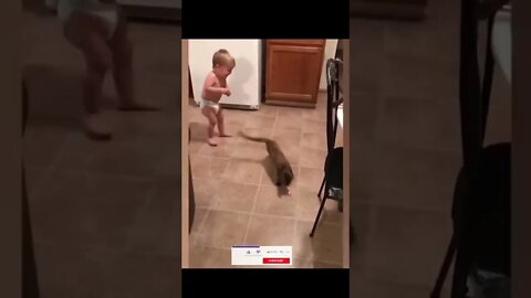 Cute Baby playing with Animals shorts baby CoolBaby Cutebaby animals